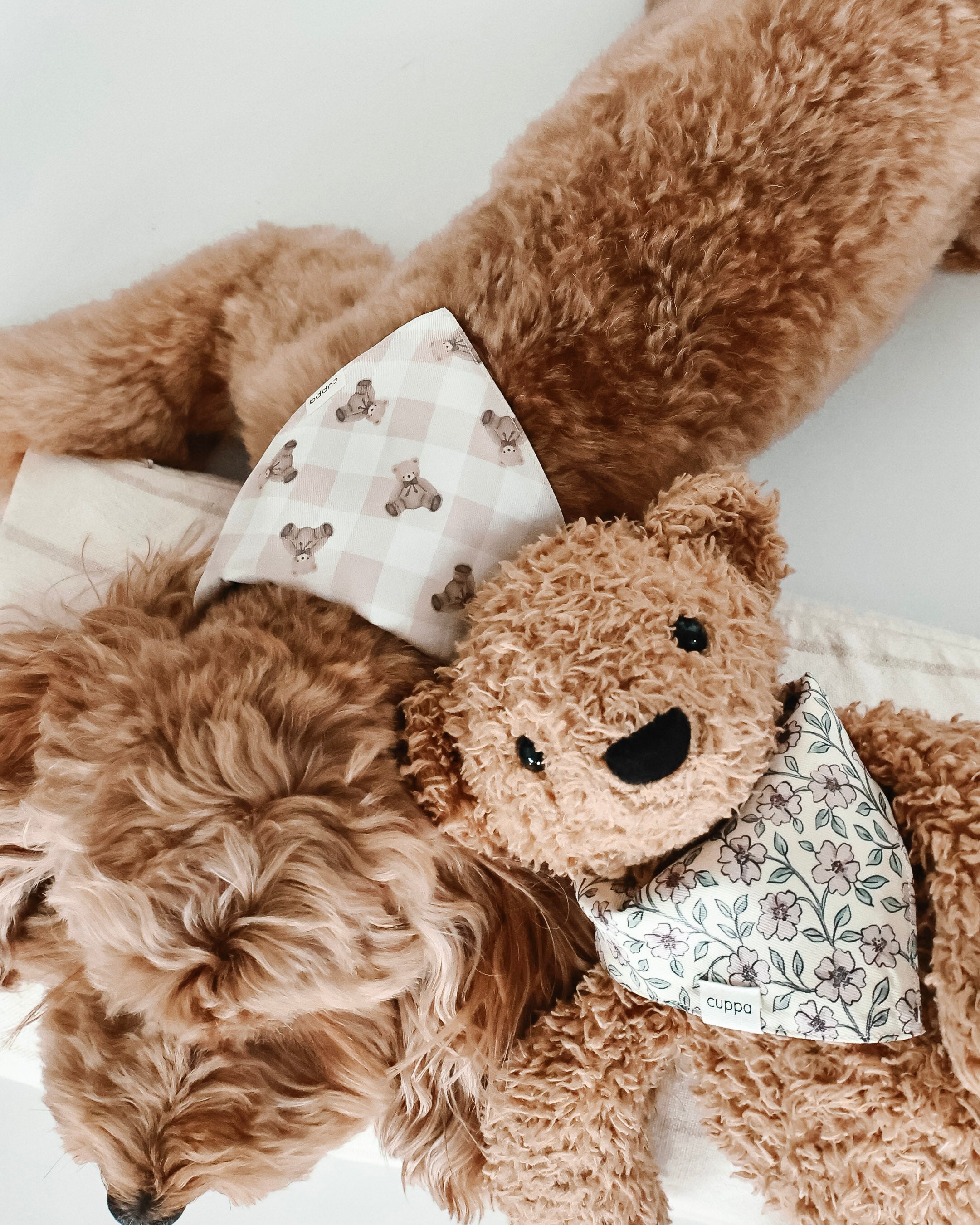 Cuppa Whimsical Teddy Bear Set - lifestyle photo 2